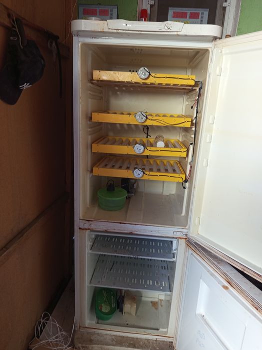 Инкубатор для яицо