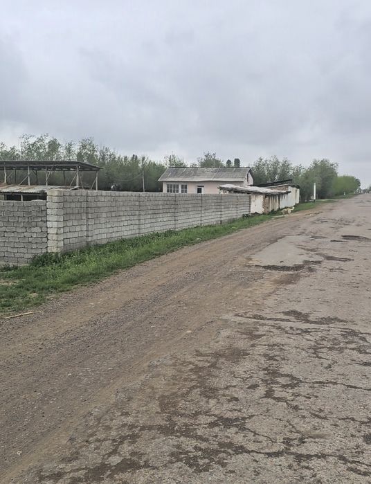 Тошкент вилояти Бука туманида ховли сотилади