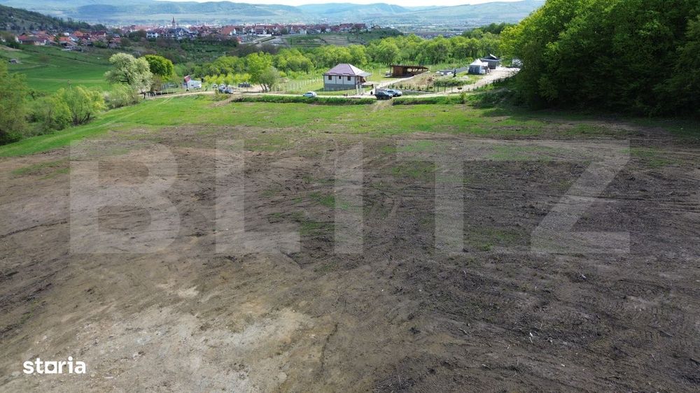 Teren 15.100 mp la baza padurii – ideal parcelare | 14 loturi | priv