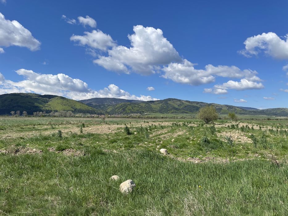 Продава се Земеделски имот в Самоков -  кв.м за 8 €/дка - Снимка #1