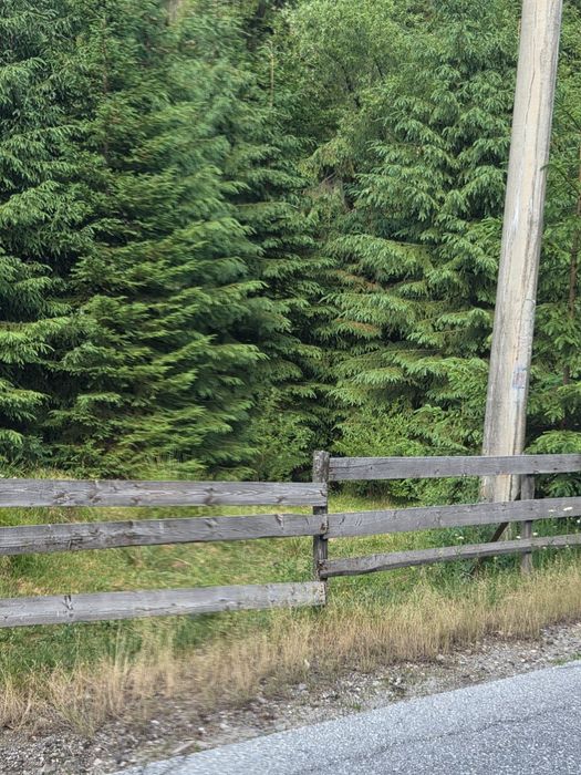 Vand 270m Teren la Sosea  Rîu în Spate Aproape de Vartop Arieseni Alba