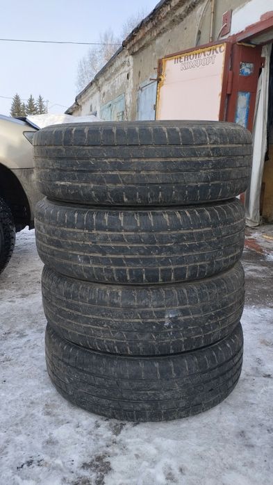 Летние шины вигоровс