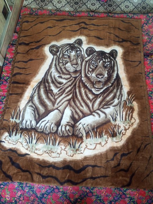 Адёл Сотилади калин