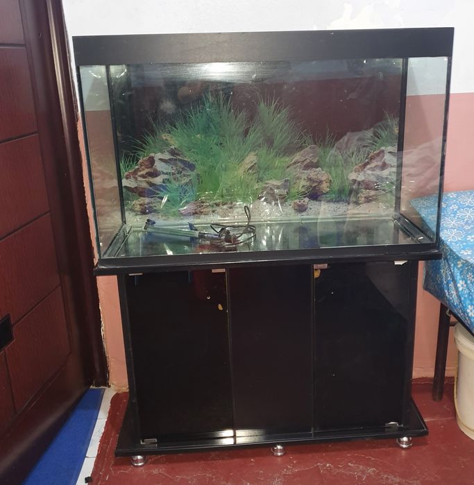 Akvarium sotiladi. Algoritm 31 kvartalda.