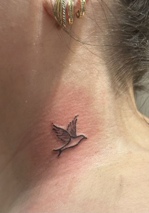 Tatuaj ieftine  100 lei Brasov