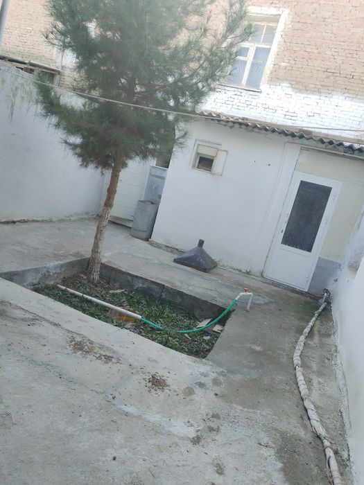 Kogonda kichik hovli sotiladi