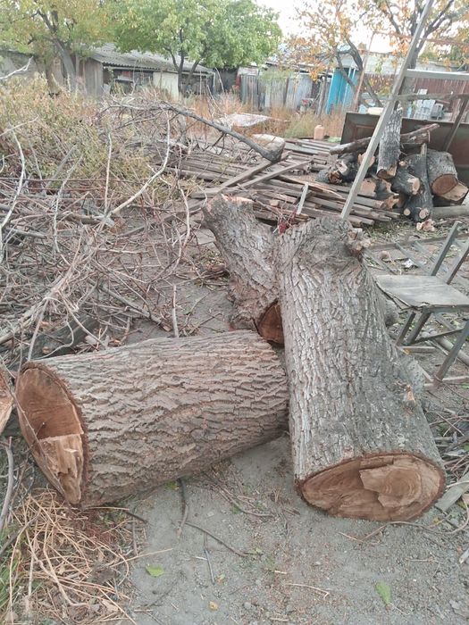 Дрова орех бесплатно