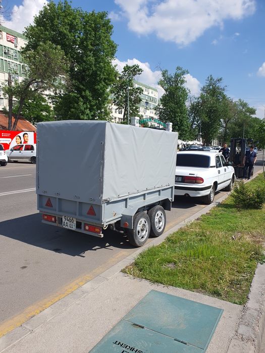 Волга 3110 + тележка