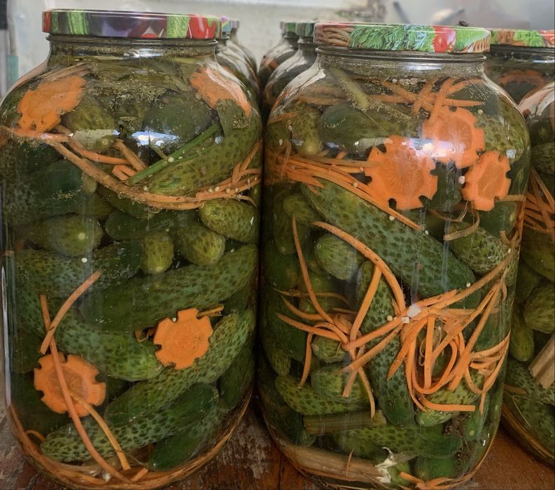 Muraturi facute din gradina proprie