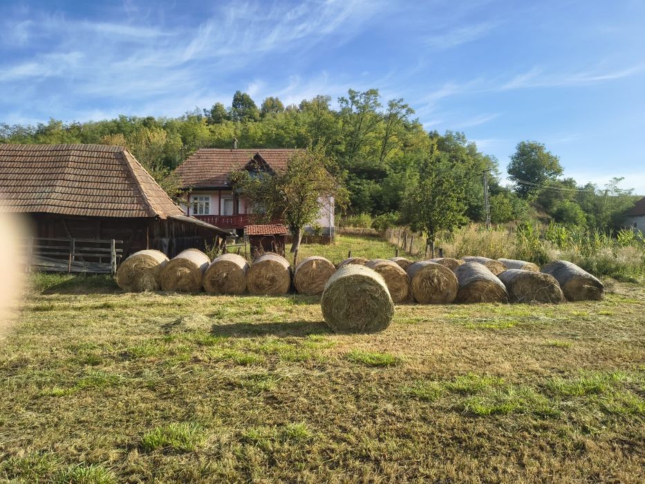 Vând  fân și otavă