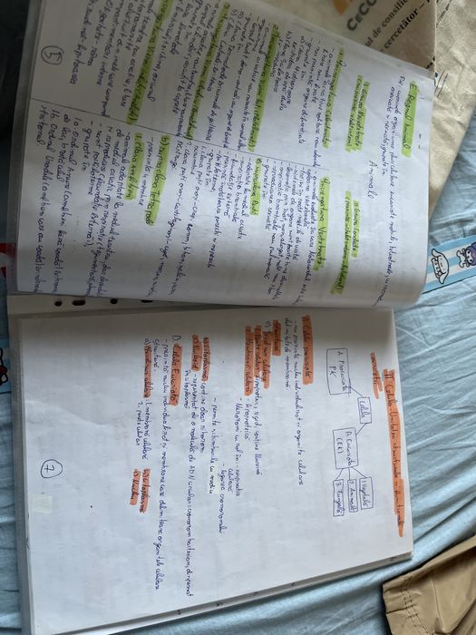 Dosar bacalaureat biologie vegetala si animala