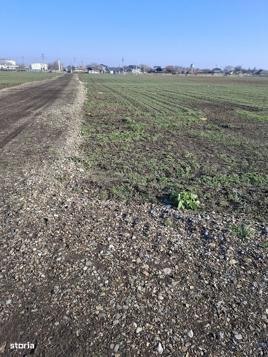 VVand loturi teren n soprafata de 500 mp teren  pret 15000 euro