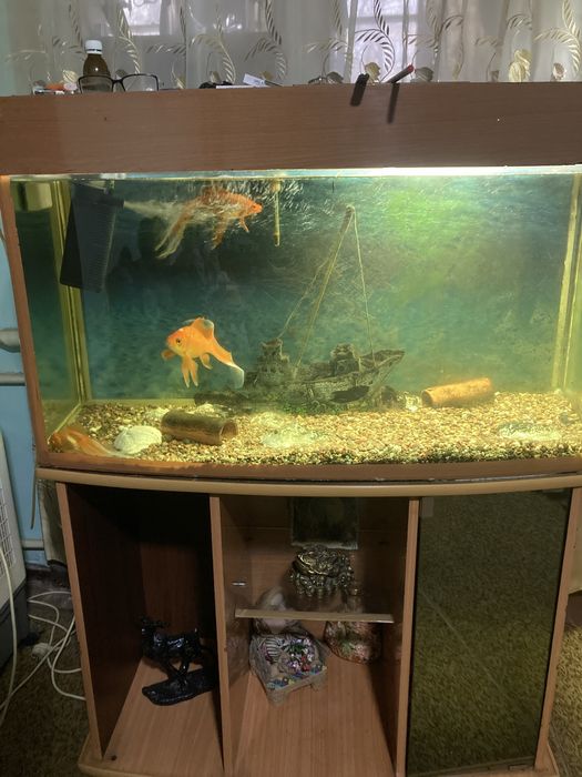 Продается срочно аквариум с рыбками