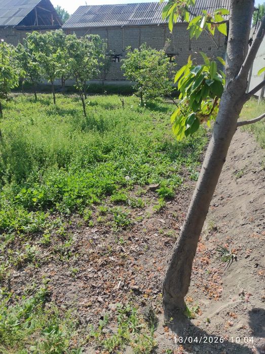 Ер сотилади 9 сотх