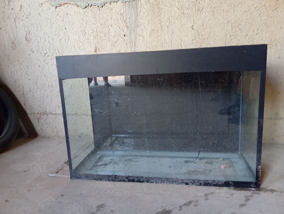 Аквариум срочно сотилади