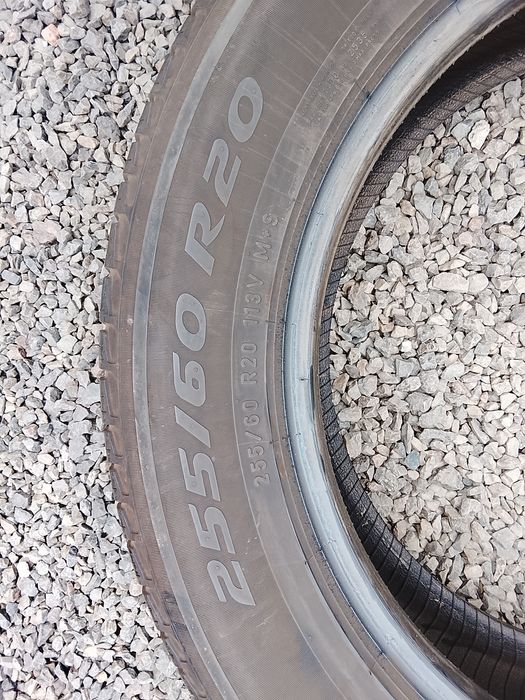 255 60 20Pirelli. 2019