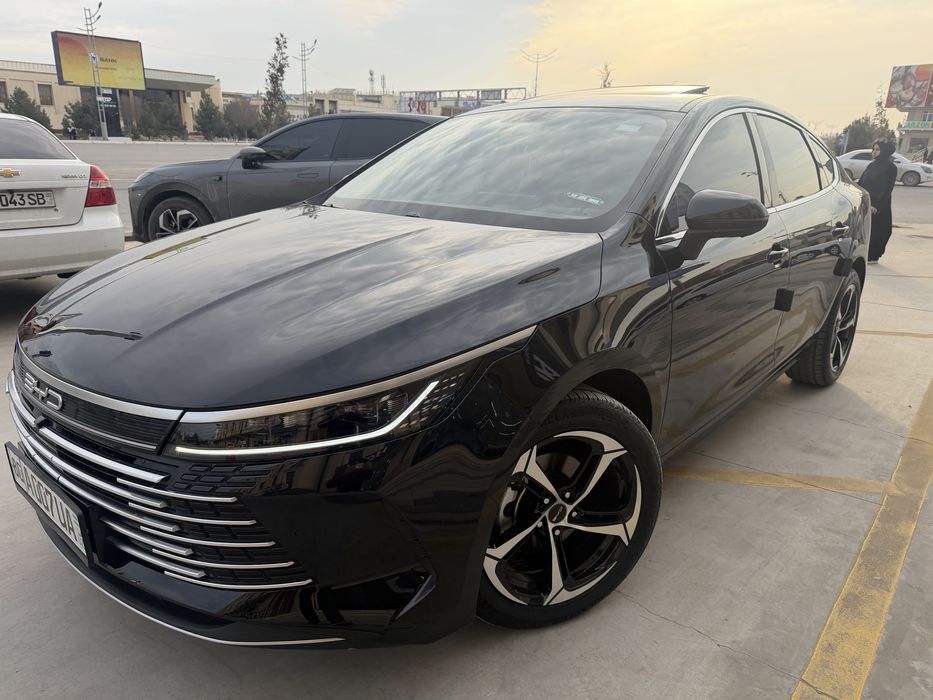 Byd chazor  срочнига