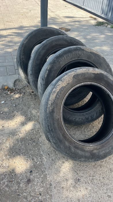 Жазғы доғалак без камр