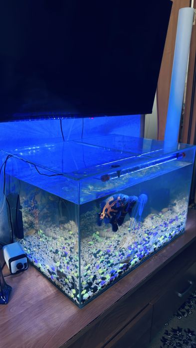 Аквариум 160 литров