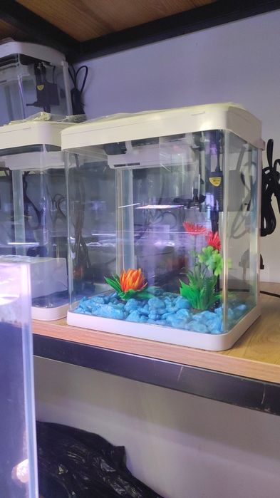 Akvarum va baliq magazin