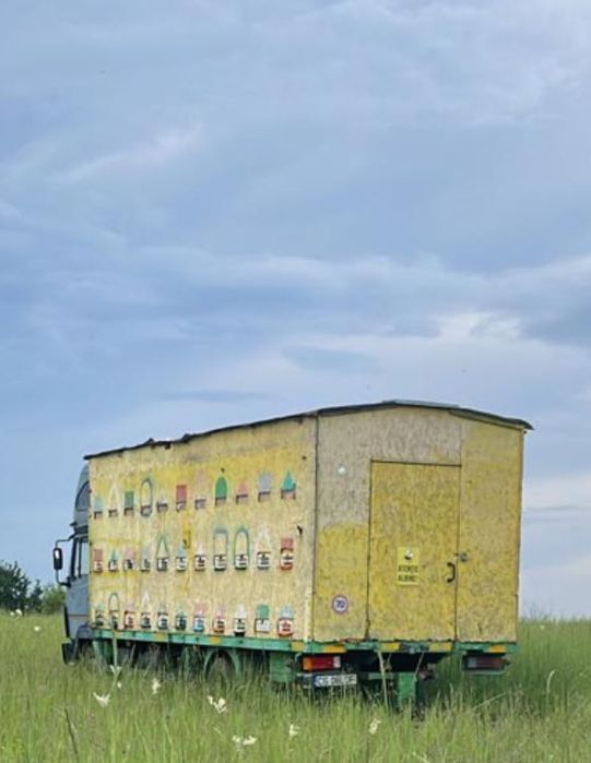 Vând camion apicol  Mercedes