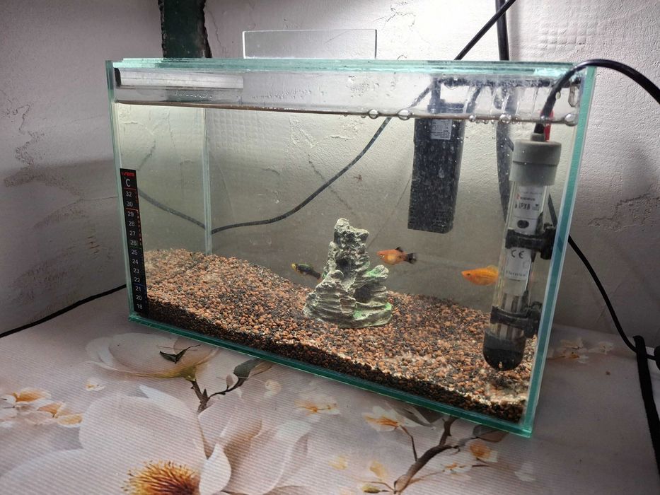 Три аквариума комплект с рибки