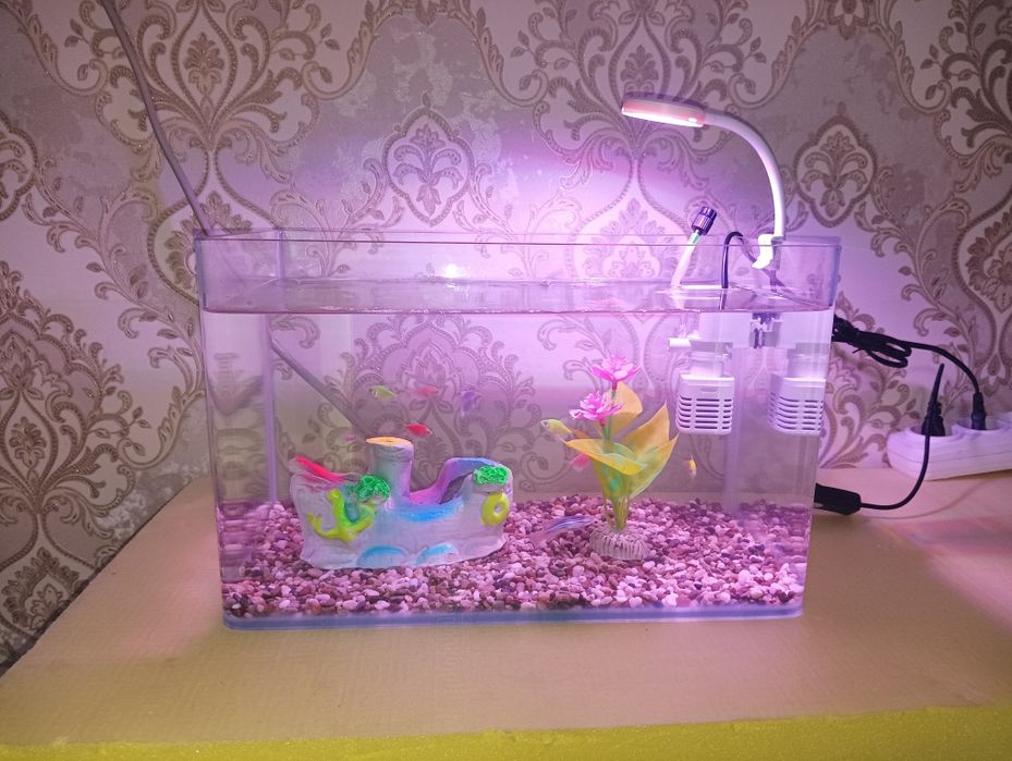 Xitoy quyma akvarium 15 litr komplekti