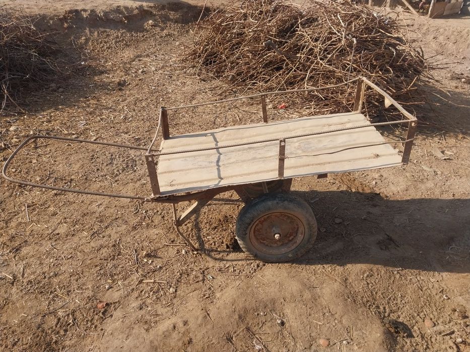 Arava G'oltak Г'олтак