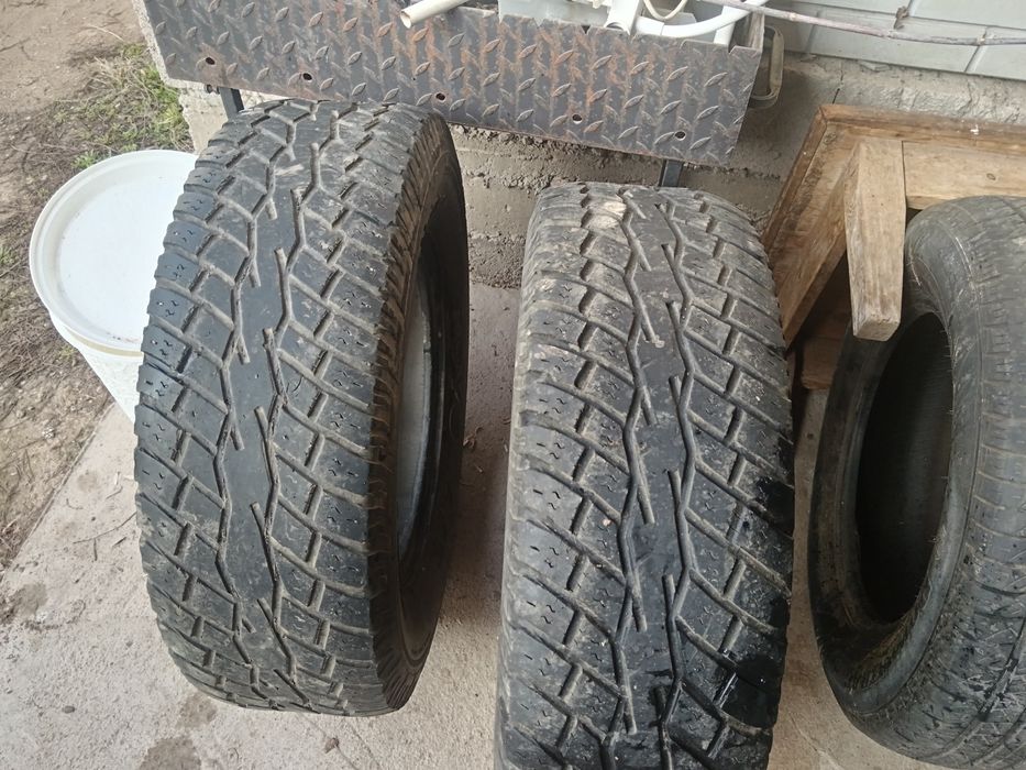 Шины летние в нормальном состоянии