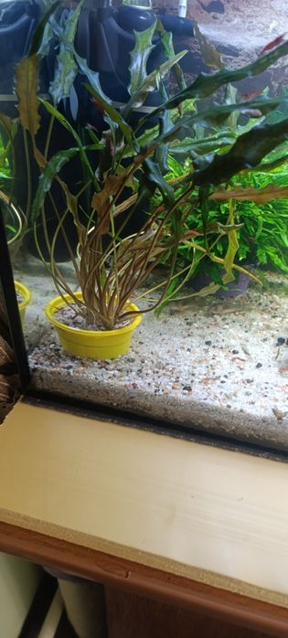 Расписание в аквариум