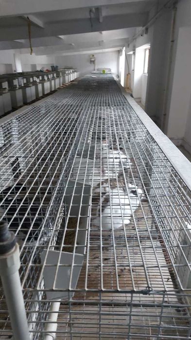 Продажба на зайци