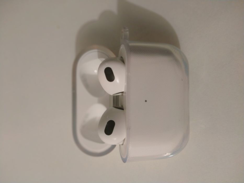 Барсетка және эрподс