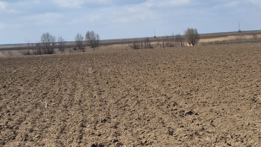 Vand loturi pentru gradina aproape de Vânători