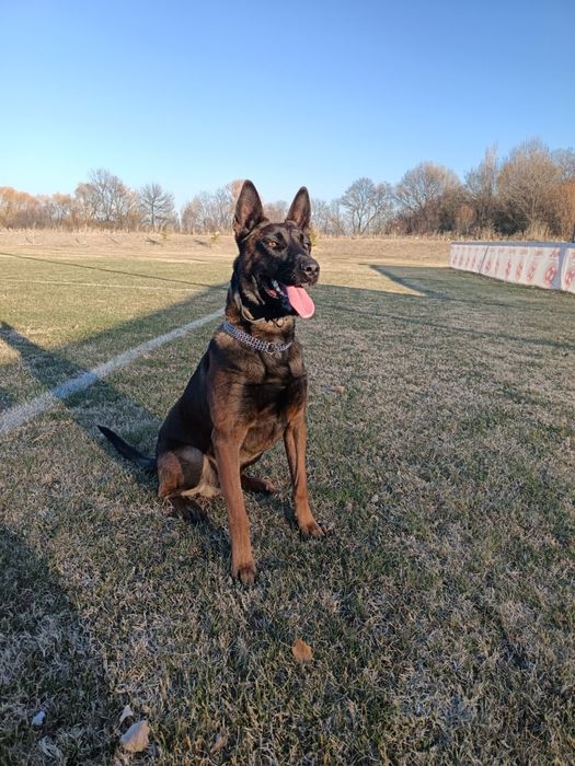 Две мъжки бебета на по 2 месеца