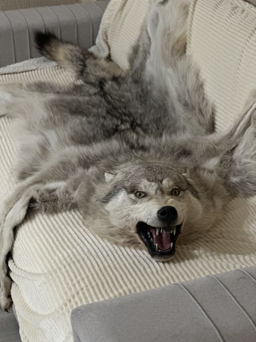 Продам чучело животного