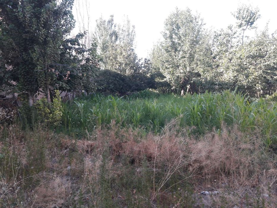 Toshkent tumanida yer sotiladi  8 sotix