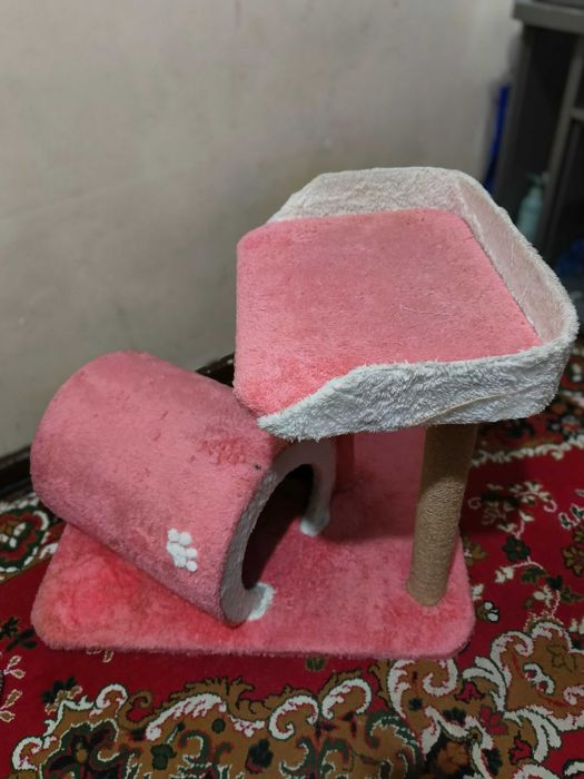 Домик и лоток для котя