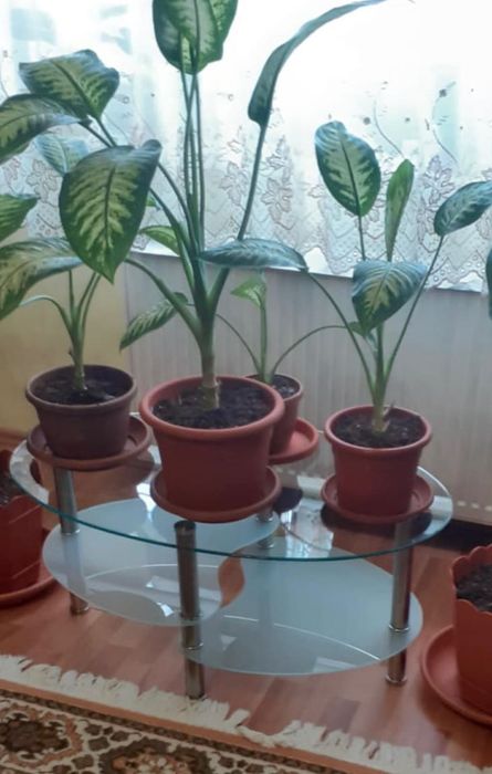 Masă pentru cafea din sticlă