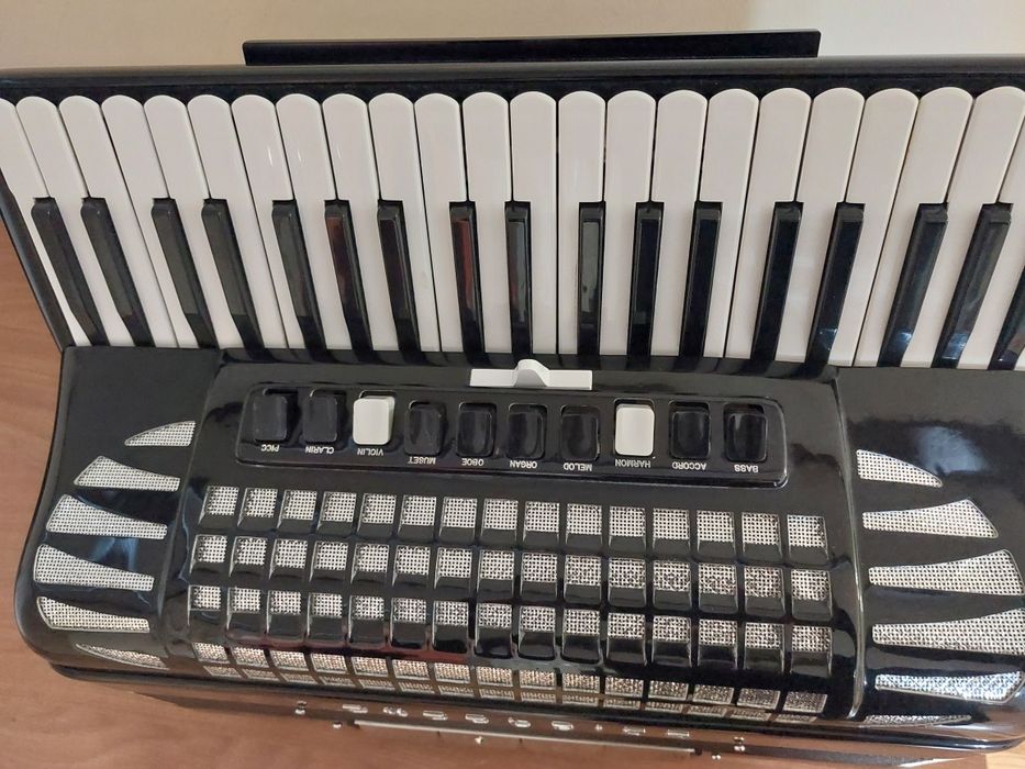 Acordeon excelsior
