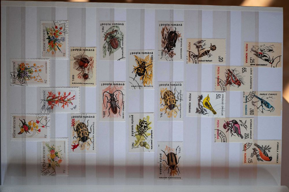 Vând 7 clasoare cu peste 1700 de timbre.