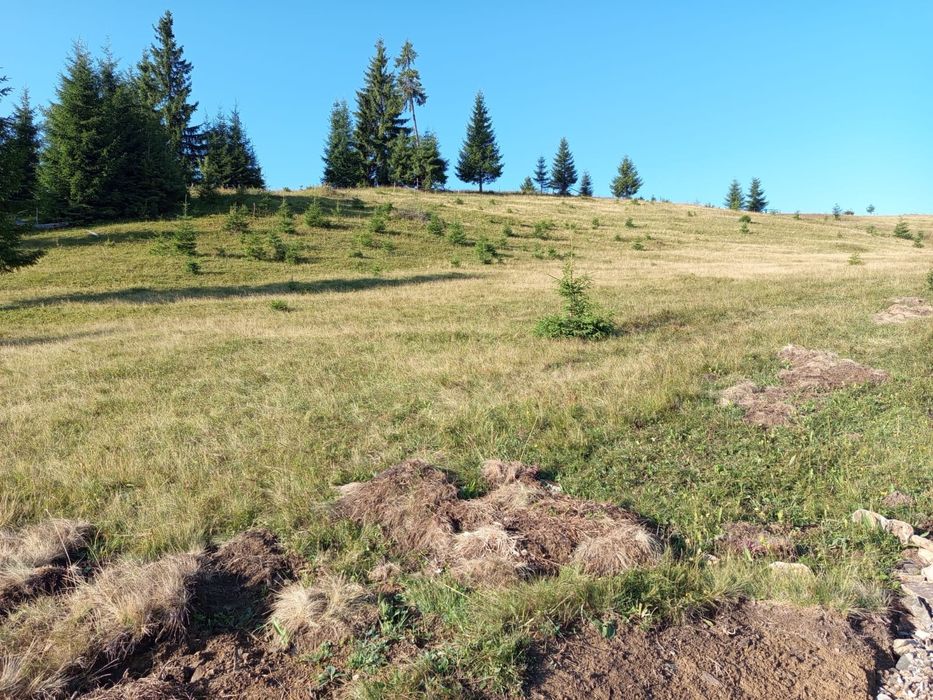 Teren Tihuța / Piatra Fântânele jud BN 1.400 Euro/ar