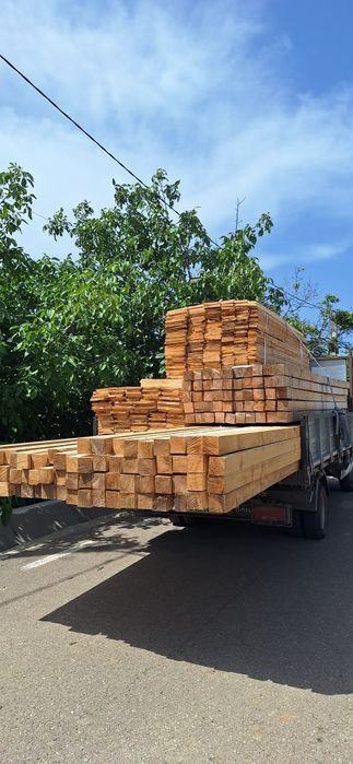 Producător cherestea rășinoase