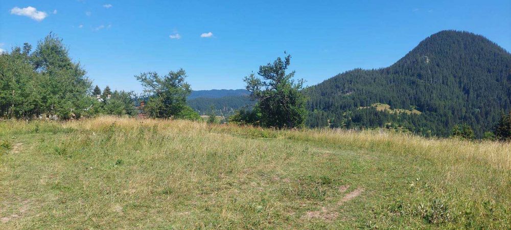 Продава се Парцел в с. Гела, Област Смолян - 826 кв.м за 37 €/кв.м - Снимка #2