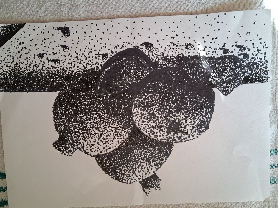 Картины юной художницы.