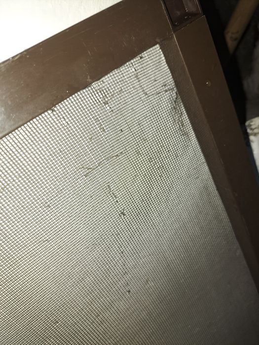 Plasa tantari pt geam termopan