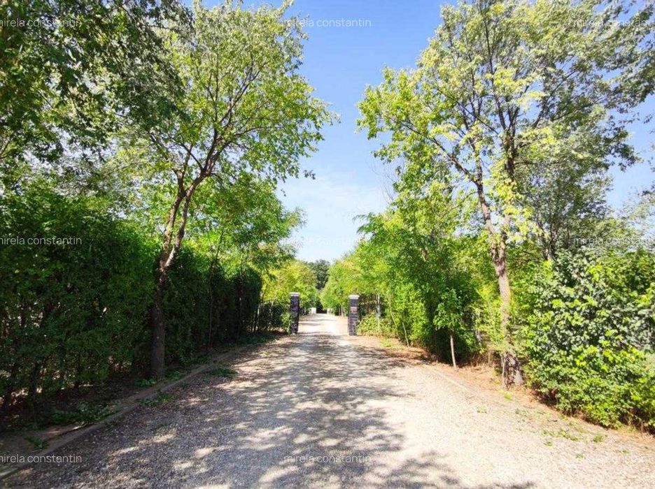 Loturi constructie intre 80-95 Euro/mp - Afumati, Strada Padurii