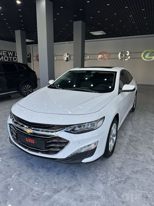 Malibu Premier 2021