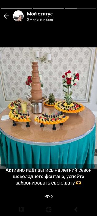 Шоколадный ФОНТАН на праздник