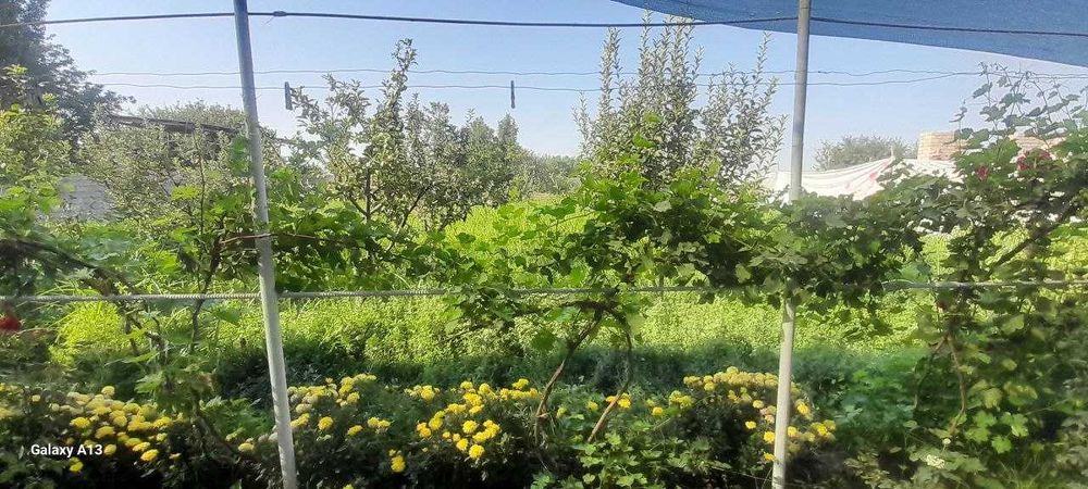 Продаётся частный Дом 
Адрес: Ул Обод-Турмуш  , махалля Янгиобод