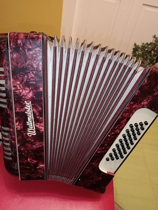 Vând Acordeon copii Weltmeister
